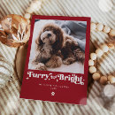 Search for funny dog christmas cards Furry and bright
