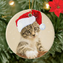 Search for tabby christmas tree decorations Festive