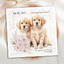 Search for golden retriever weddings Modern