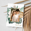 Search for leaf photo cards Tropical
