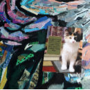 Search for sorry card postcards Kitten