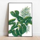 Search for tropical art Monstera