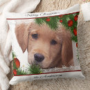 Search for golden retriever christmas cushions Puppy