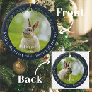 Search for rabbit christmas tree decorations Bunny photo