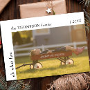 Search for oh what fun christmas cards One photo