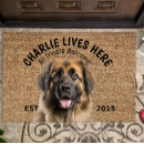 Search for leonberger Pets