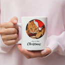 Search for funny cats mugs Pet photo