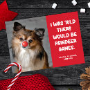 Search for funny reindeer photo christmas cards Humour
