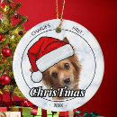 Search for family with dog christmas tree decorations Dogs
