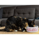 Search for pink cat bowls Kitty