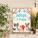Search for adoption signs Dog birthday