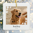 Search for pet gifts Dog photo