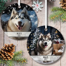 Search for pets christmas tree decorations Dogs