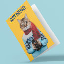 Search for vintage cat cards For cat lovers