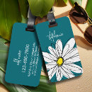 Search for blue daisy Daisies