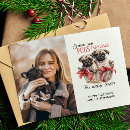 Search for pug lover cards From the dog