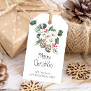Search for pine cones Snowflakes