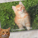 Search for cute cat photo blankets Create your own
