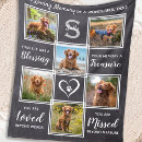 Search for rainbow bridge blankets Photo collage