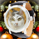 Search for photo watches pet