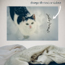 Search for furry animal posters Cute