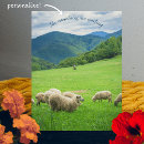 Search for sheeps postcards White sheep