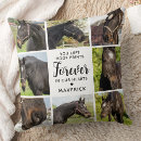Search for pet memorial cushions Rainbow bridge