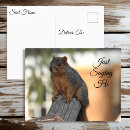 Search for cute squirrel pictures postcards Autumn