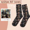 Search for face socks Pet lover