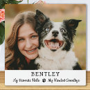 Search for pet memorials Remembrance