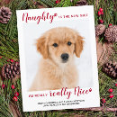 Search for naughty dog cards Cute puppy