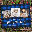 Search for bulk christmas cards Modern