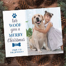 Search for bulk christmas cards Modern