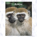 Search for kenya postcards Wildlife