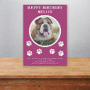 Search for dog party invitations Trendy