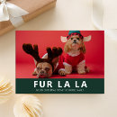 Search for dog and cat christmas cards Modern