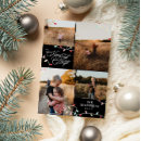 Search for lights christmas cards Family photo