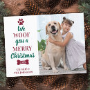 Search for pet christmas postcards Fun