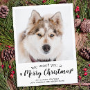 Search for pet christmas postcards Modern