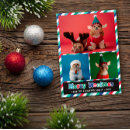 Search for dog puns seasonal cards Funny
