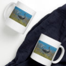 Search for life is great mugs Nature