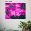 Search for carnations photography Botanical