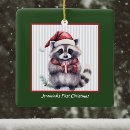 Search for racoon christmas tree decorations Nature