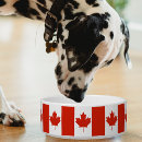Search for maple pet supplies Leaves
