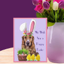Search for funny easter postcards Bunny ears