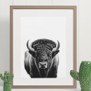 Search for bison posters Buffalo