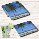 Search for fort lauderdale souvenir Palm trees