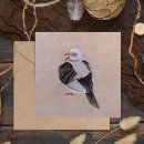Search for pigeon cards Bird