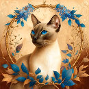 Search for siamese photography Blue