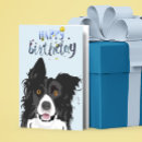 Search for collie Dog